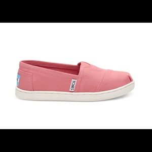 BRAND NEW TOMS CANVAS